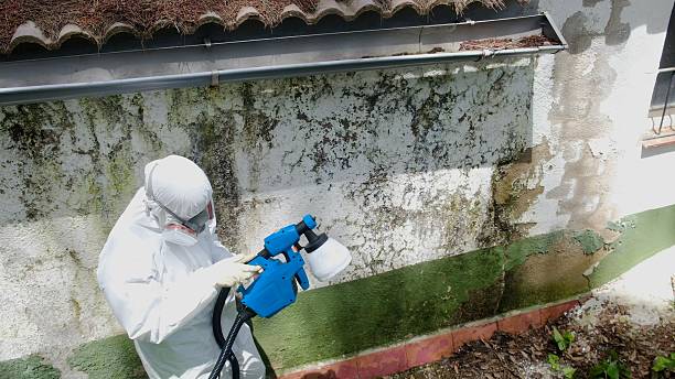 Trusted Commercial Mold Remediation service in Bloomingdale, GA - Cheap Mold Removal